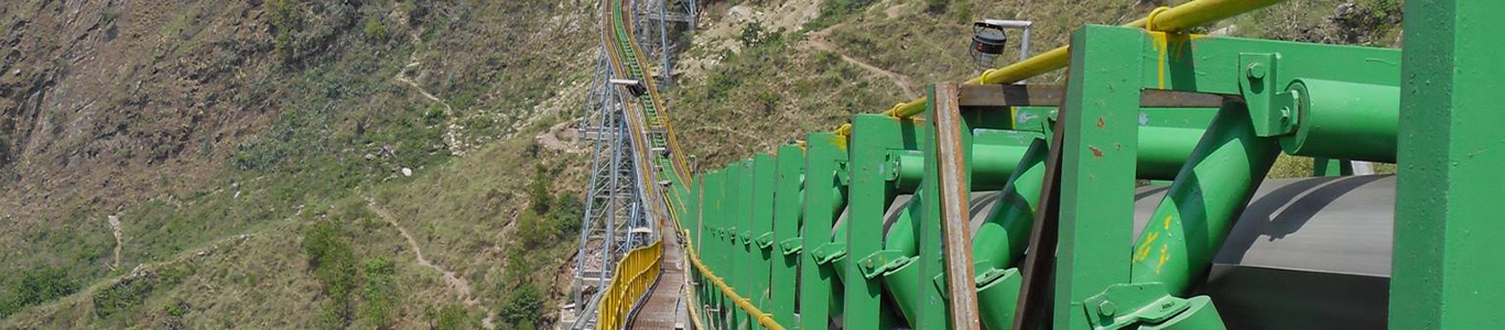 Conveyor belt vulcanizing press